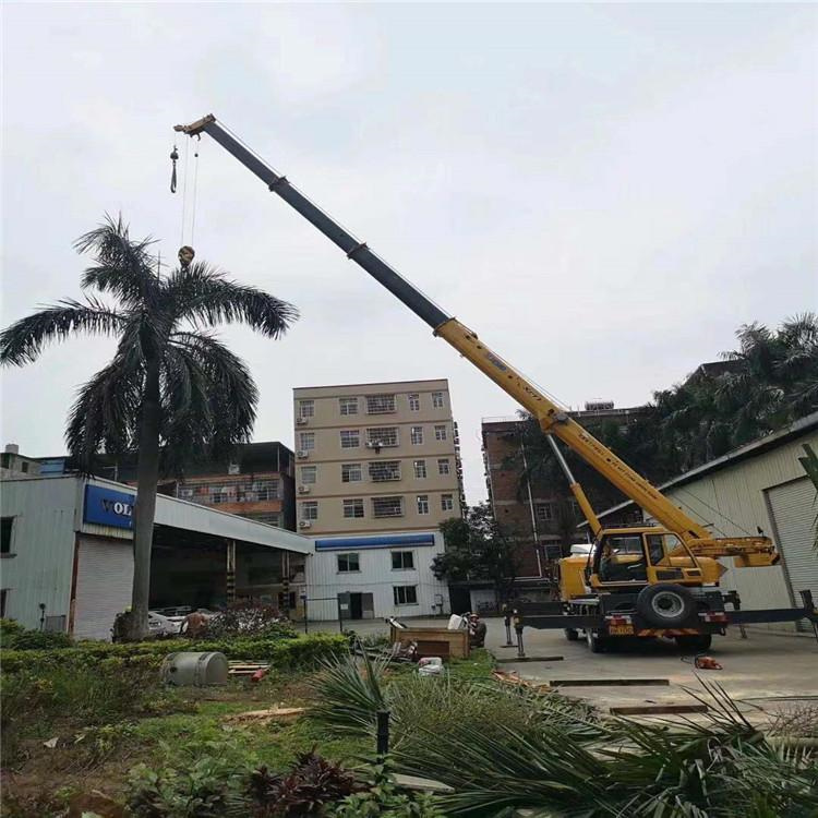 辛集汽车吊出租多少钱？全面解析与市场行情